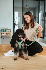 Λουρί Σκύλου Hunter Πράσινο 2 m Ρυθμιζόμενο