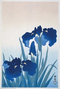 Αφίσα Ohara Koson - Iris Flowers