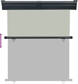 vidaXL Σκίαστρο Βεράντας Πλαϊνό Γκρι 145 x 250 εκ.