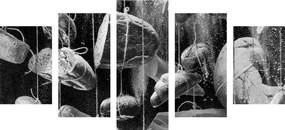Ζύμη με εικόνα 5 μερών σε σχοινί σε ασπρόμαυρο - 100x50