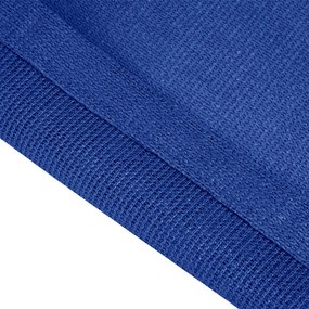 vidaXL Χαλί Σκηνής Μπλε 250 x 200 εκ. από HDPE