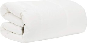 vidaXL Πάπλωμα FULDA 200 x 220 cm 4 Εποχές 310 GSM 90% Χήνας Λευκό