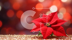 Intra Συλλεκτικό Ξύλινο Παζλ Plywood  4mm - Κομψό και γιορτινό κόκκινο λουλούδι Poinsettia με φώτα Bokeh Σε Ξύλινο Κουτί - Διαστάσεις: 10x10 cm – 25 κομμάτια