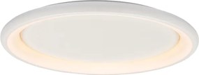 Φωτιστικό Πλαφονιέρα LED Aca Diana BR71LEDC81WH White