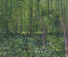 Αναπαραγωγή Trees and Undergrowth, 1887, Vincent van Gogh