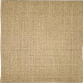vidaXL Χαλί Σιζάλ για Ονυχοδρόμιο 100x100 εκ.