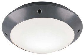 Φωτιστικό Οροφής - Πλαφονιέρα Camaro R60501042 26x8cm 1xE27 12W Anthracite-White RL Lighting Plastic