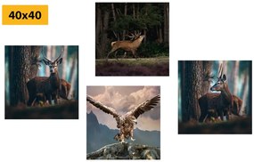 Σετ εικόνων ομορφιά των ζώων του δάσους - 4x 40x40