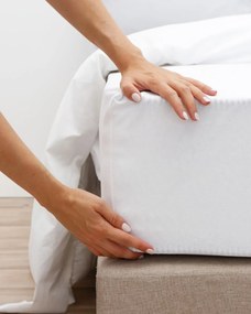 Μακό Βαμβακερό Εφαρμοστό Non Iron Σεντόνι με Λάστιχο Finejersey Art