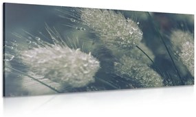 Εικόνα με σταγόνες δροσιάς στο γρασίδι - 120x60