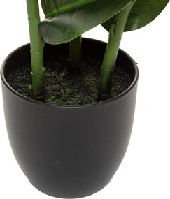 Τεχνητό Δέντρο (Φ40x120) A-S Ficus Robusta 181460