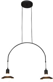 Κρεμαστό Φωτιστικό Οροφής 2xE27 G95 LED Μαύρο Everdina 77-3824 Homelighting-77-3824-Μαύρο 77-3824