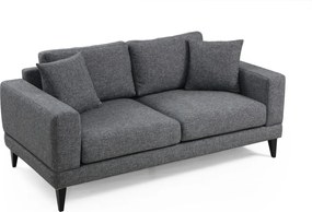 Διθέσιος Καναπές Σκούρο Γκρι SASORE 180x90x85