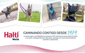 Κολλάρο Σκύλου Company of Animals Γκρι