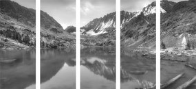 Εικόνα 5 τεμαχίων μαστιγιωτών βουνών σε ασπρόμαυρο - 100x50