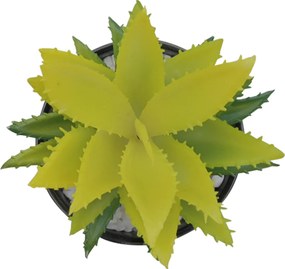 Τεχνητό Φυτό σε Κεραμικό Μοντέρνο Γλαστράκι 7.5x16cm - Μαύρο