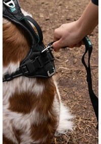 Λουρί Σκύλου SYMBIOZ Μαύρο S