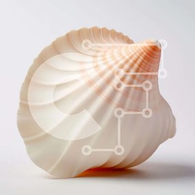 Intra Συλλεκτικό Ξύλινο Παζλ Plywood 4mm - Λευκό και Ροζ Κοχύλι Σε Ξύλινο Κουτί - Διαστάσεις: 10x10 cm – 25 κομμάτια