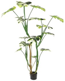Τεχνητό Δέντρο Μονστέρα Albo 5701-6 160cm Green Supergreens Plastic