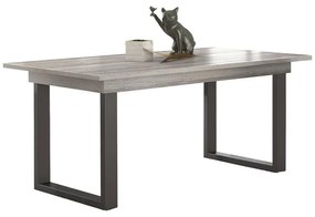 Dining table HENRY Extendable Σταχτί