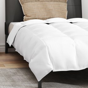 vidaXL Πάπλωμα με μαξιλάρι 2 pcs Λευκό 155 x 220 cm Πούπουλο
