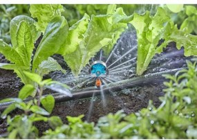 Μικρό ψεκαστήρα Gardena Micro-Drip 13324-20 Πλαστική ύλη 13 mm