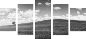 Εικόνα 5 μερών μιας όμορφης μέρας στο λιβάδι σε ασπρόμαυρο - 200x100