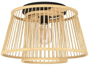 Φωτιστικό Οροφής Eglo 43851 HYKEHAM Μαύρο Ματ (Black Mat)