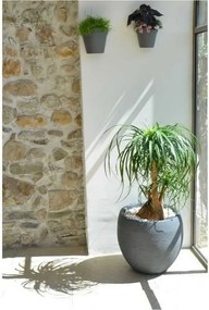 Βάζο Λουλουδιών EDA Graphit Στρογγυλή Πλαστική ύλη Σκούρο γκρίζο (Ø 50 x 45 cm)