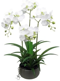 Supergreens Τεχνητό Φυτό Ορχιδέα Phalaenopsis Λευκό 60 εκ.