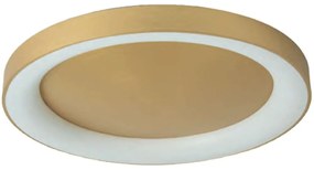 Φωτιστικό Οροφής - Πλαφονιέρα 77-8160 Led 80cm Amaya Brushed Gold Homelighting Aluminum,Acrylic