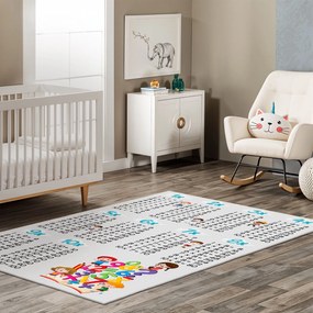 Carpet (50 x 80) HMNT467 Multicolor