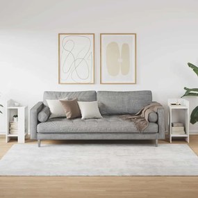 vidaXL Πλαϊνά Τραπεζάκια 2 τμχ με ράφι Λευκό 25,5x27x60 cm