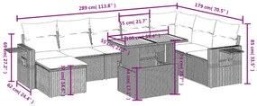 vidaXL Σαλόνι Κήπου Σετ 9 τεμ. Μπεζ Συνθετικό Ρατάν με Μαξιλάρια