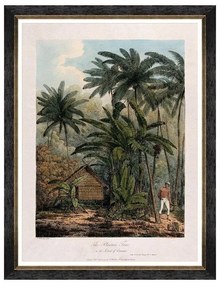 Κάδρο Trees Of Krakatoa - The Plantain Tree FA13201 60X80 MindTheGap Κάθετοι Ξύλο