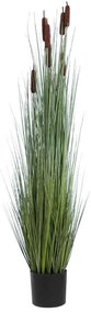 Τεχνητό Φυτό Typha Angustifolia Grass 20113 Φ50x150cm Brown-Green GloboStar PVC