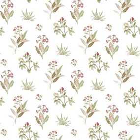 Ταπετσαρία Τοίχου Cristiana Masi Blooming Garden 84011-PAR