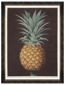 Κάδρο Pineapples Of Antigua - The Havannah Pine By Brookshaw FA13200 60X80 MindTheGap Κάθετοι Ξύλο