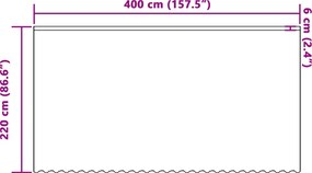 vidaXL Κουρτίνα Δαντέλας με κουρτίνες Λευκό 220 x 400 εκ Πολυεστέρας