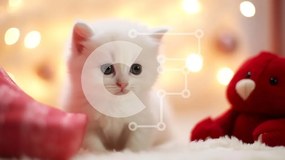 Σετ των 2 Intra Συλλεκτικό Ξύλινο Παζλ Plywood  4mm - Χαριτωμένο λευκό γατάκι με αρκουδάκι Σε Ξύλινο Κουτί - Διαστάσεις: 10x10 cm – 25 κομμάτια