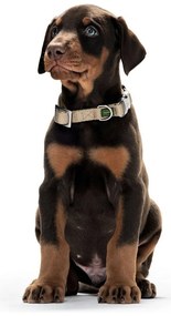 Κολλάρο Σκύλου Hunter Basic Alu-Strong Κόκκινο Μέγεθος L (45-65 cm)