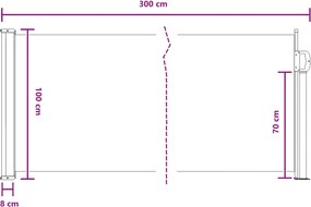 vidaXL Ανακλινόμενος Πλευρικός Απλώστρα 300 x 100 cm Πολυεστέρας