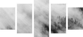 Εικόνα 5 μερών ασπρόμαυρο ομιχλώδες δάσος