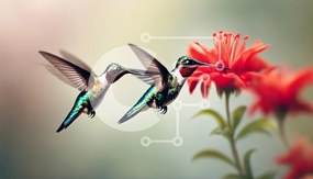 Σετ των 2 Intra Συλλεκτικό Ξύλινο Παζλ Plywood 4mm - Δύο κολίβρια κοντά σε ένα κόκκινο λουλούδι Σε Ξύλινο Κουτί - Διαστάσεις: 10x10 cm – 25 κομμάτια