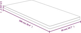 vidaXL Επιφάνεια Τραπεζιού 50x100x2,5 από Μπαμπού