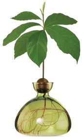 Βάζο Για Ανάπτυξη Καρπού Αβοκάντο 003-9 15x15cm Grass Green Ilex Studio Glass