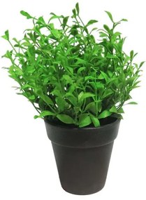 Τεχνητό Φυτό Αρωματικό 19 εκ. 9650-6 Supergreens-9650-6-Πράσινο 9650-6