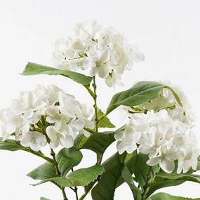 Διακοσμητικό φυτό σε γλάστρα Hydrangea Inart λευκό Φ35x50εκ