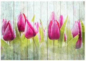 Φωτοταπετσαρία - Tulips on white wood 400x280