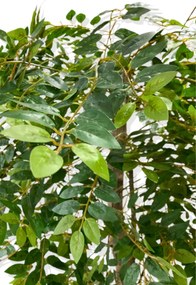 Stewehome τεχνητό δέντρο σε μεταλλική γλάστρα Πράσινο